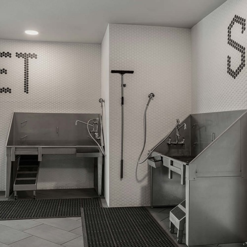We welcome your pet family dog wash stations in pet spa